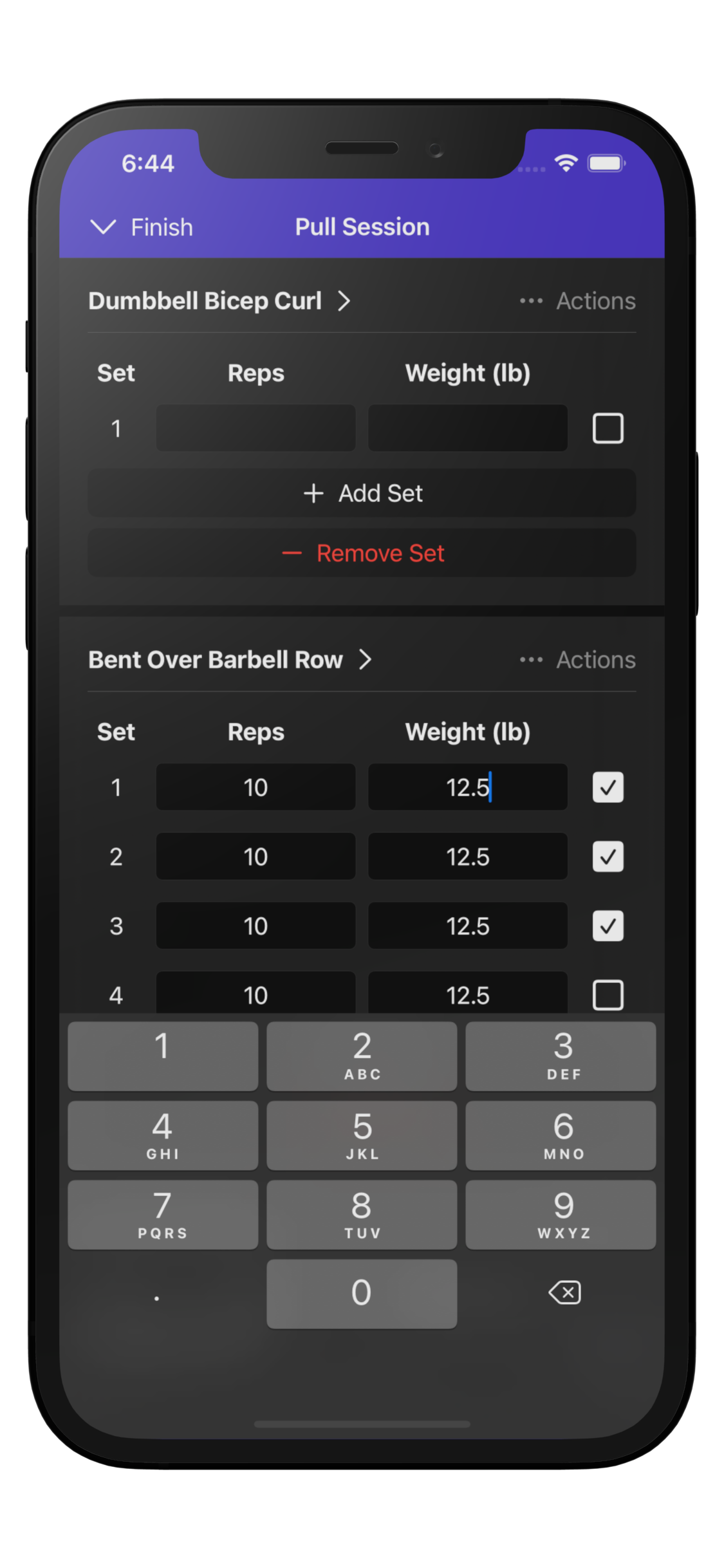 picture of workout plan bot workout tracking screen within iOS Device.